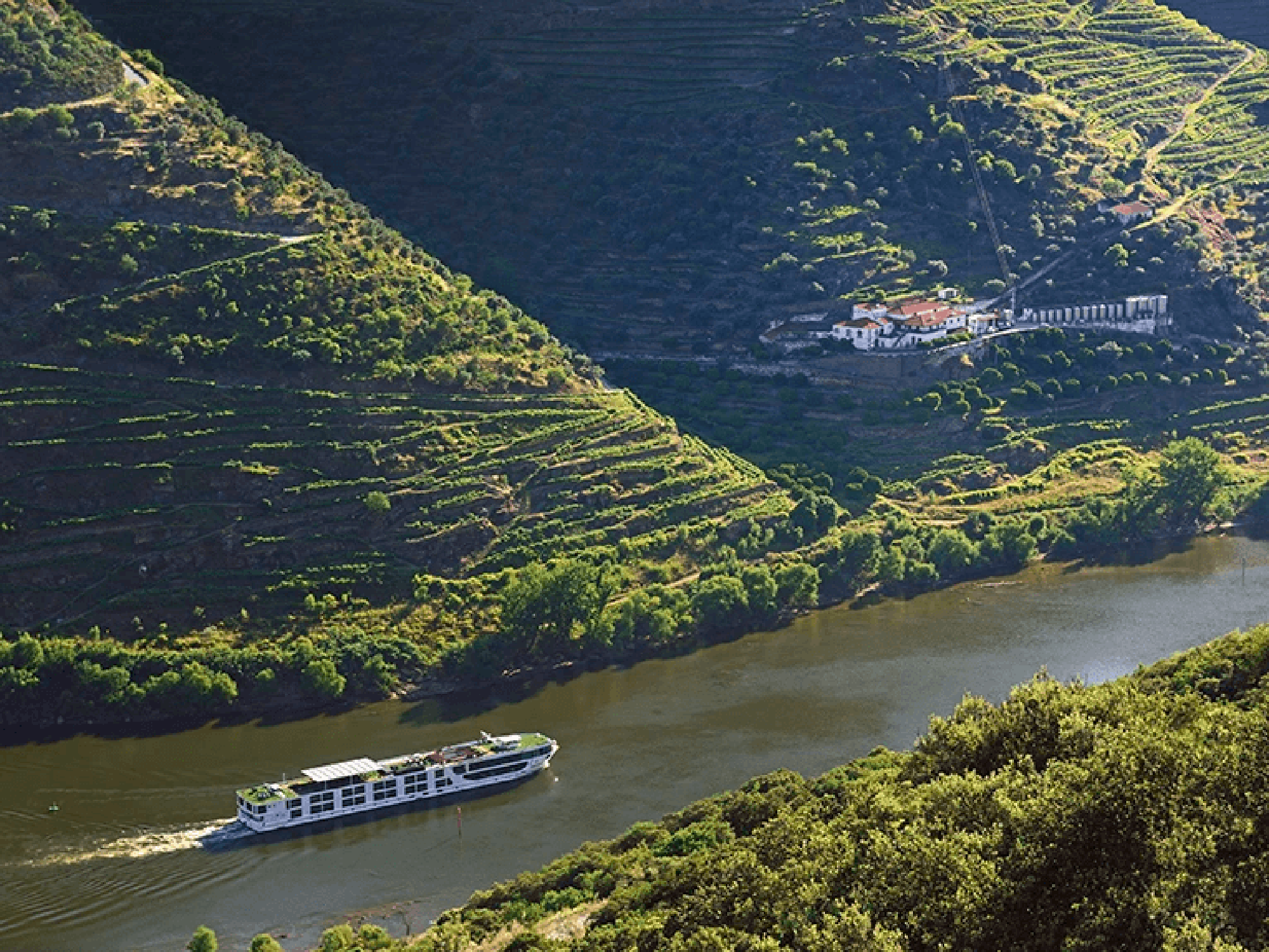 Douro River Cruise through Terraced Vineyards A modern river cruise ship navigating through the scenic, steep-sided Douro Valley in Portugal