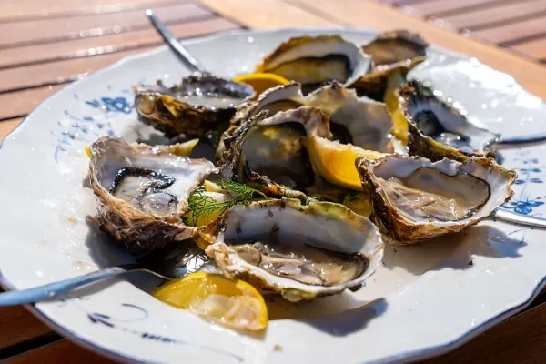 Fresh Oysters with Lemon Garnish A gourmet seafood plate featuring freshly shucked oysters served on a white decorative plate