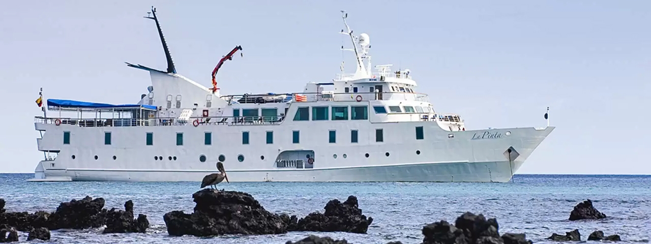 A white expedition cruise vessel anchored in clear blue waters near volcanic rock formations with a brown pelican perched on a rocky outcrop in the foreground