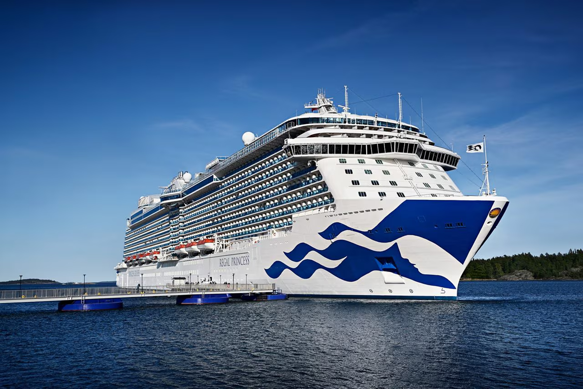 Princess Cruise Ship Docked at Port A large white and blue Princess cruise ship moored at a dock, with a forested shoreline in