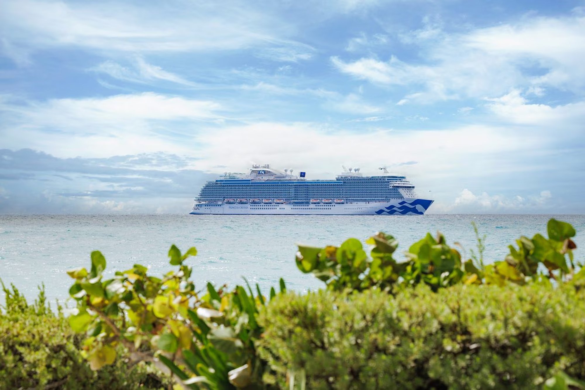 Princess Cruise Ship in Tropical Seascape A large white and blue Princess Cruises ship anchored offshore, viewed through lush green coastal