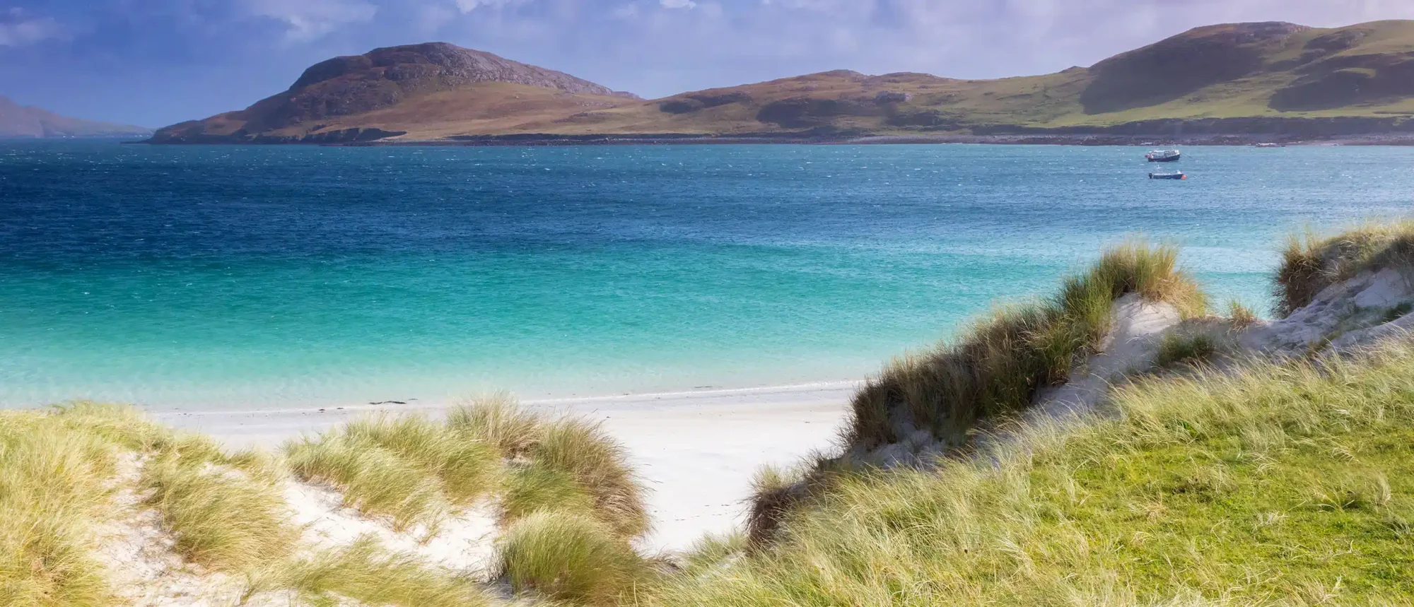 Scottish Island Beach with Turquoise Waters A pristine white sand beach with coastal dune grasses overlooks crystalline turquoise waters