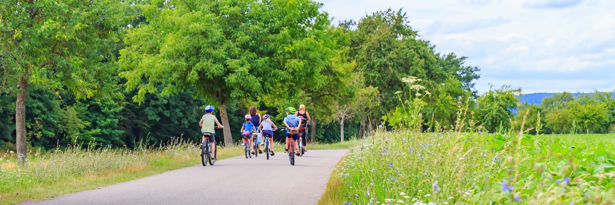 Family Cycling on Scenic Path in Germany A group of cyclists, including children and adults, ride along a paved path lined with wildflowers and lush green trees. The scenic route features blooming purple flowers on the right side and distant forested hills, capturing a peaceful recreational cycling experience in a natural setting.
