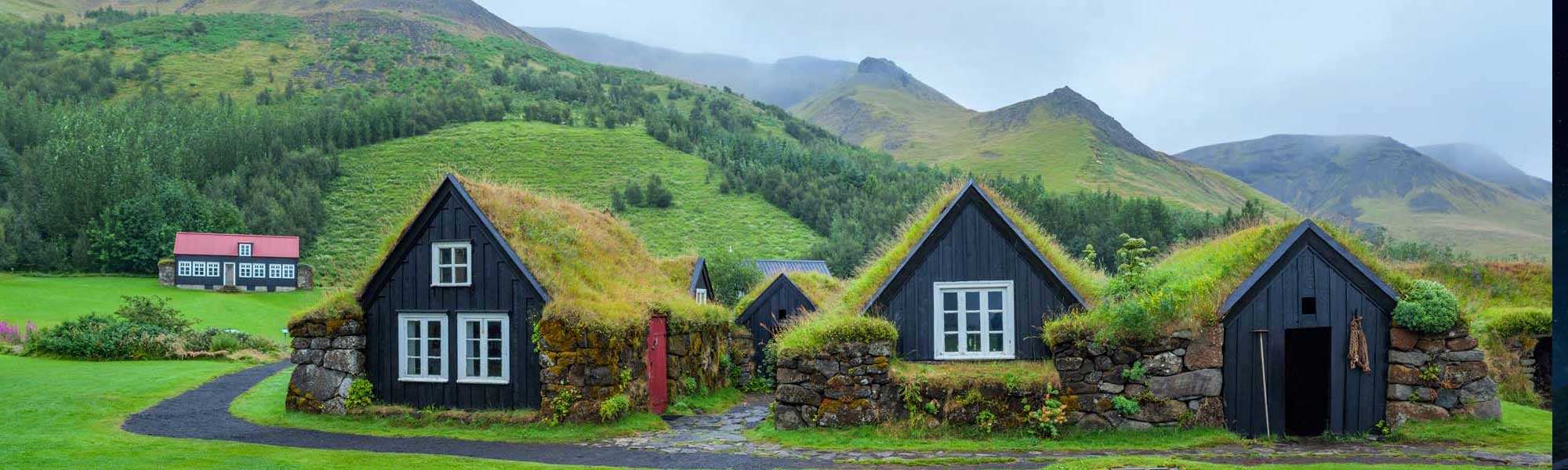 Traditional Turf-Roofed Houses in Iceland A picturesque cluster of historic Icelandic turf-roofed houses with distinctive black wooden walls, white-framed windows, and moss-covered sod roofs nestled in a verdant valley. Snow-capped mountains and coniferous forests frame this traditional settlement, showcasing the iconic architectural heritage of rural Iceland.