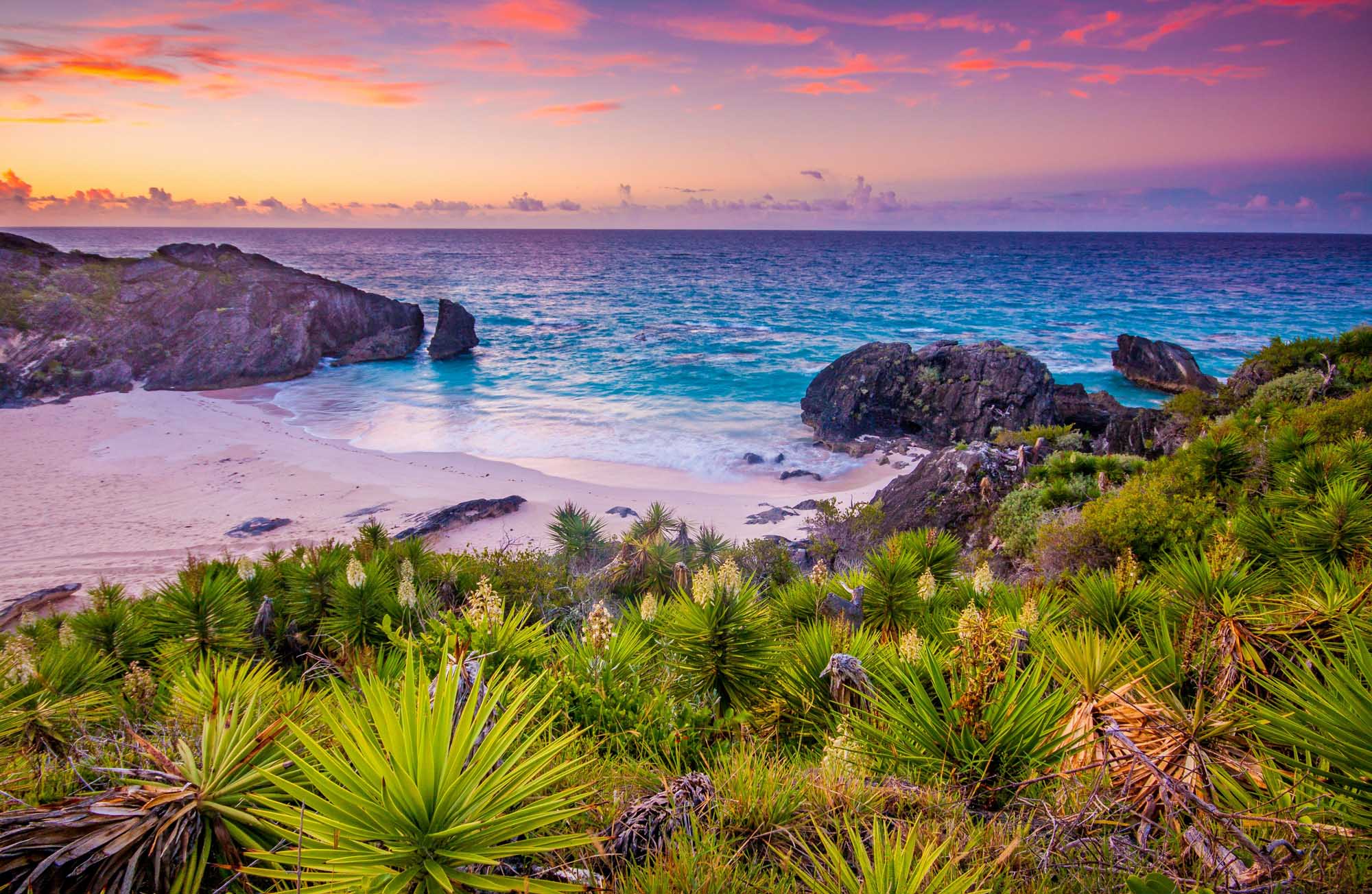 A stunning coastal scene featuring a pristine pink sand beach nestled between dramatic rocky outcrops, with vibrant tropical vegetation and a breathtaking sunrise painting the sky.