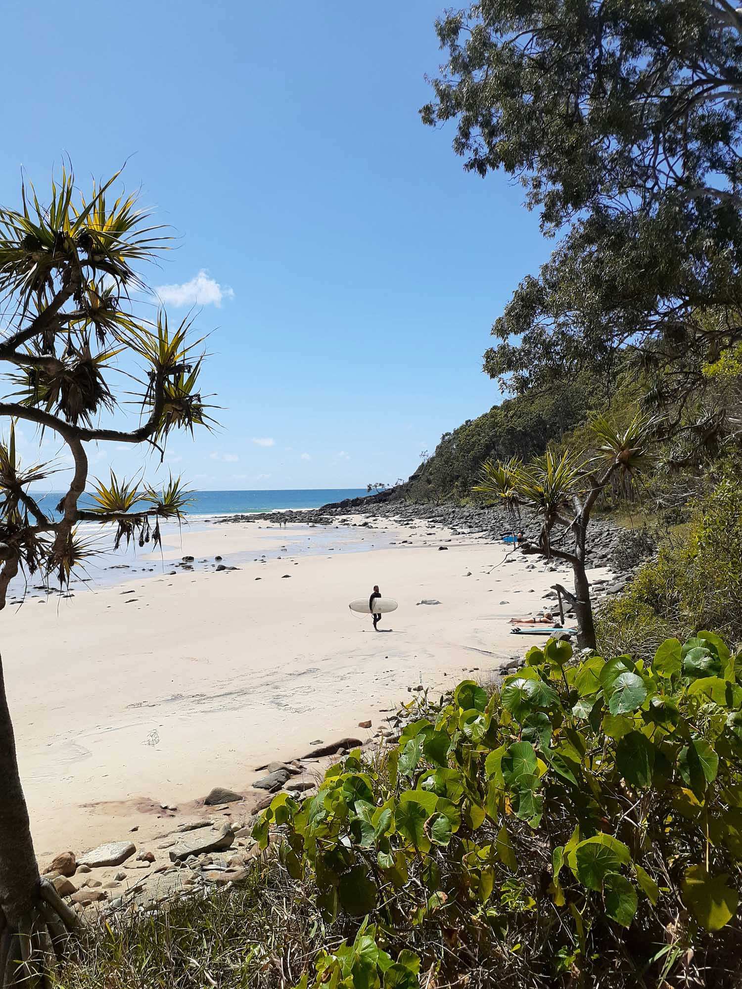 Brisbane Skyline with Story Bridge Aerial View A serene tropical beach scene featuring a surfer in a wetsuit carrying a surfboard across pristine white sand, framed by distinctive palm trees and lush coastal vegetation.