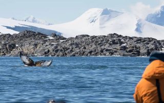 Exploring the Unexplored: Seabourn's 2026-2027 Expedition Cruises Announced!