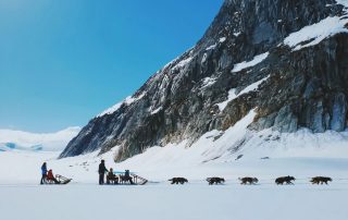 Top 5 Shore Excursions in Alaska with Crystal Cruises