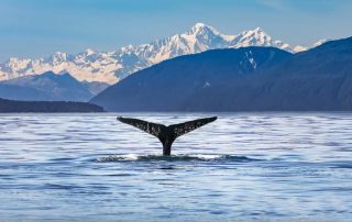 An In-Depth Look at NCL's Shore Excursion Offerings in Juneau, Alaska