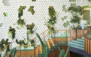 Dining in Eden - a Closer Look at Celebrity Cruises' Contemporary Fine Dining Restaurant