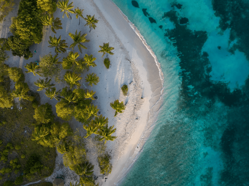 An aerial drone photograph showcasing a pristine white sand beach lined with palm trees adjacent