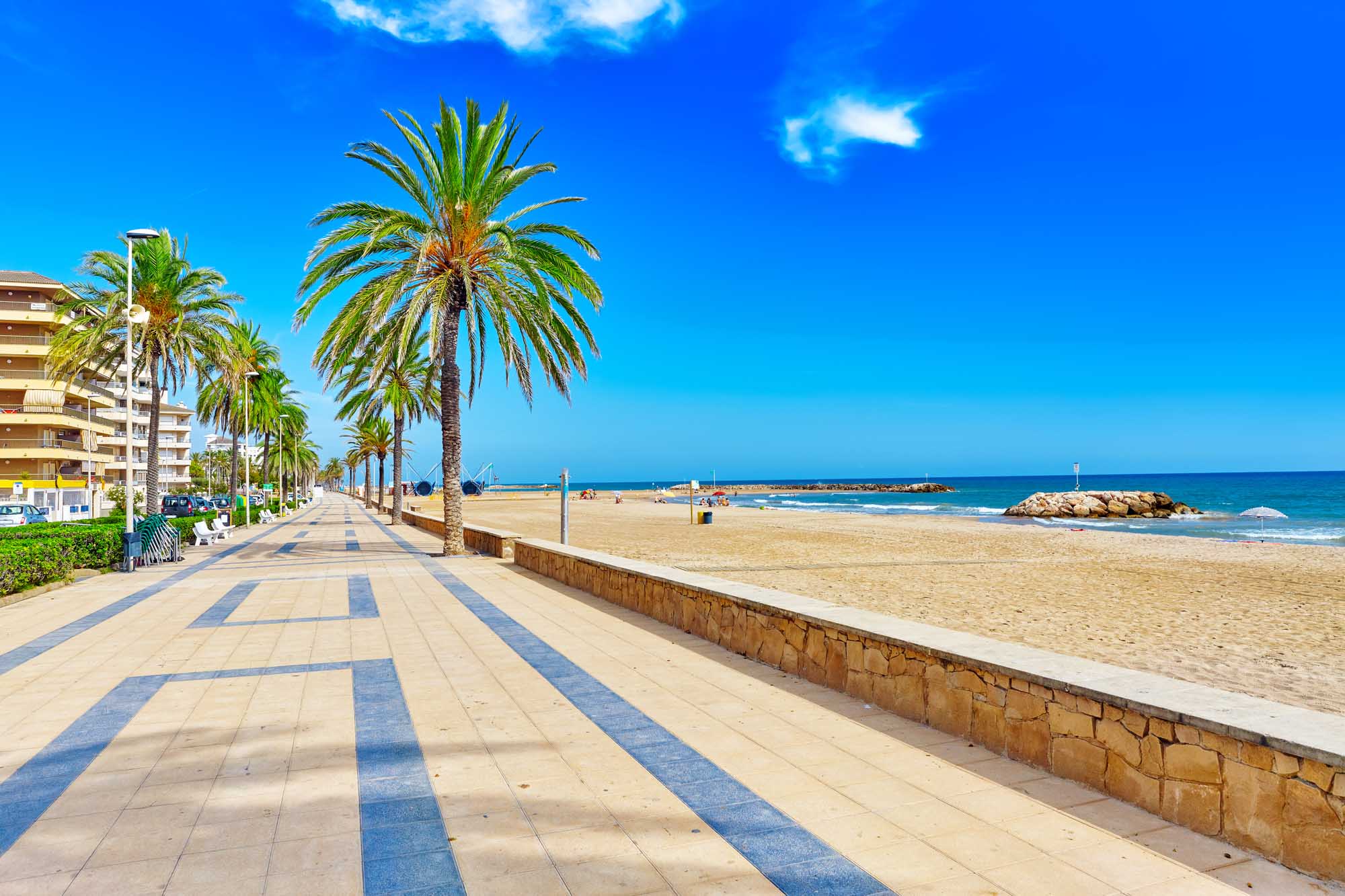 A picturesque Mediterranean beachfront promenade lined with tall palm trees and modern apartment